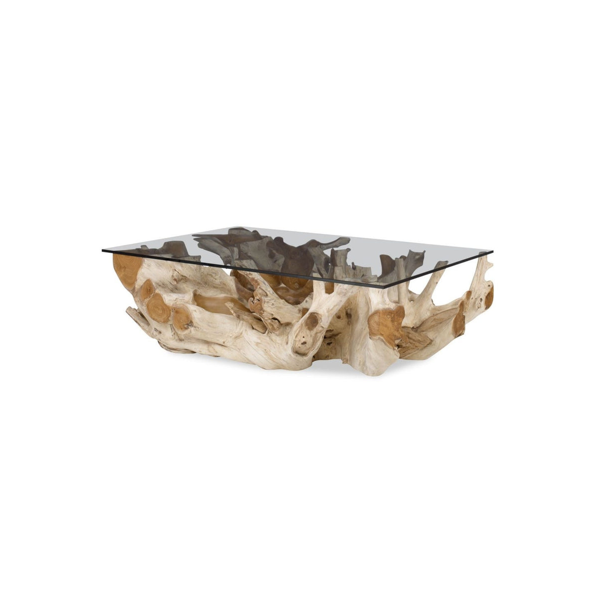 58"L CENTER ROOT COFFEE TABLE