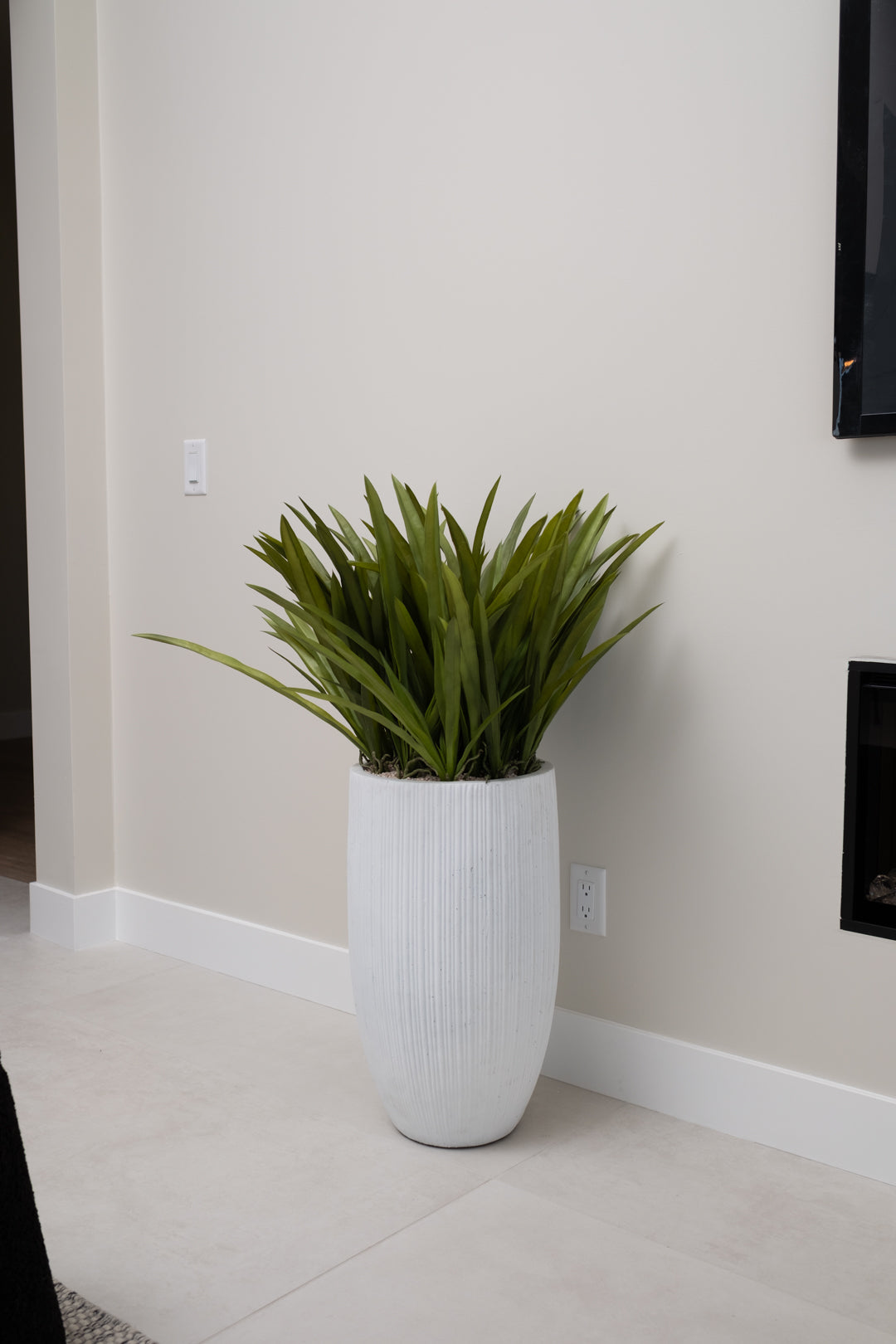 ORCHID LEAVES IN TALL PLANTER