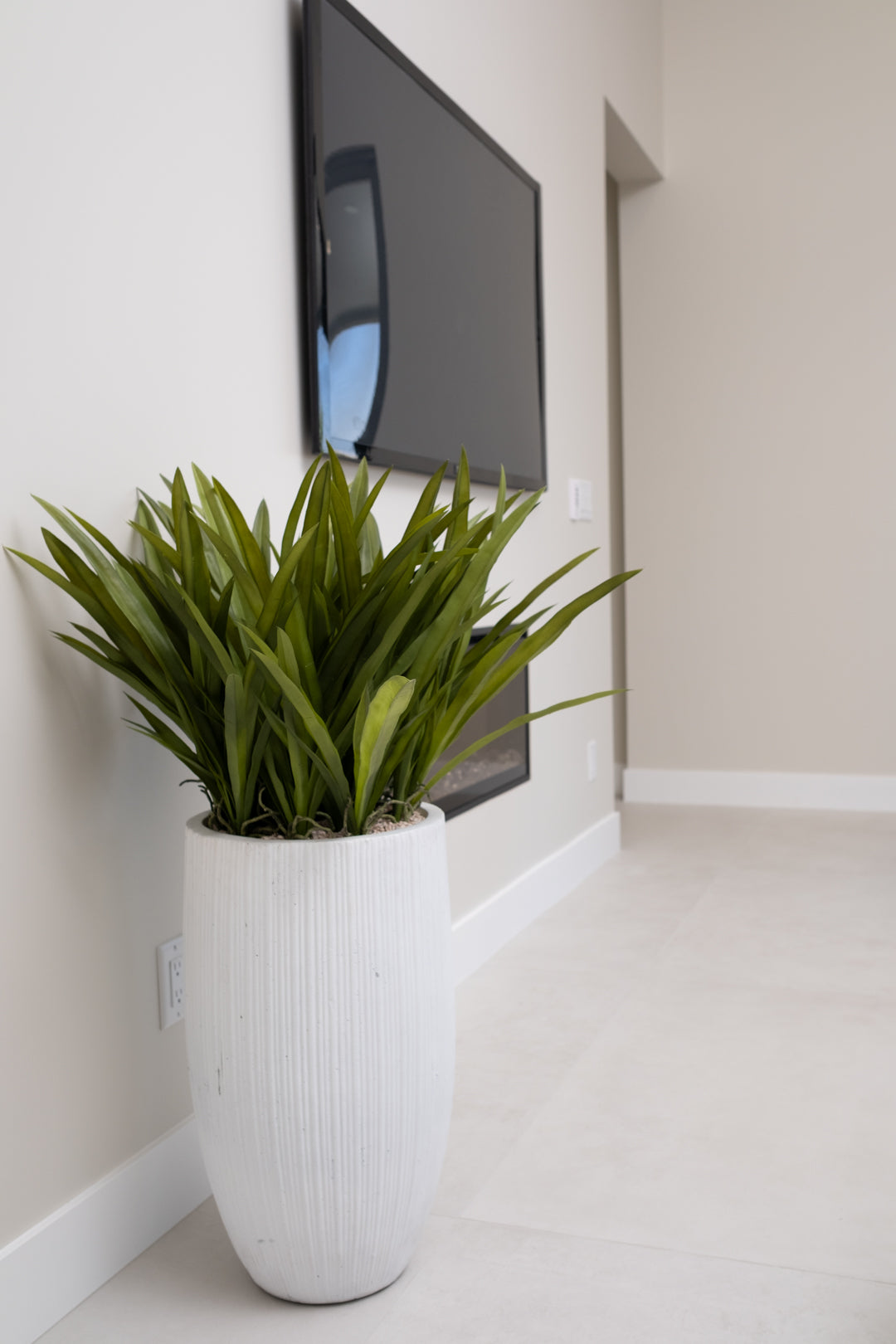 ORCHID LEAVES IN TALL PLANTER