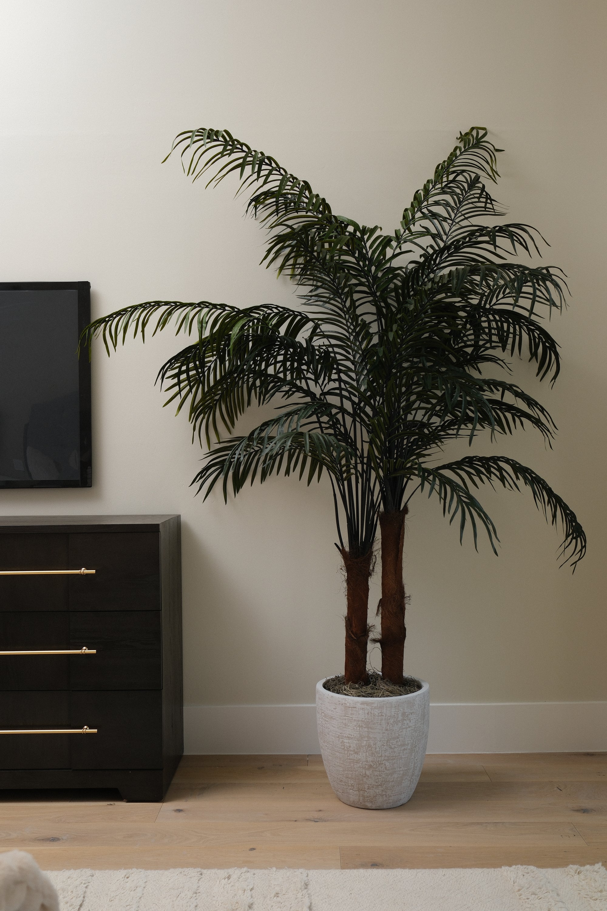 8FT ARECA PALM TREE IN WHITE PLANTER