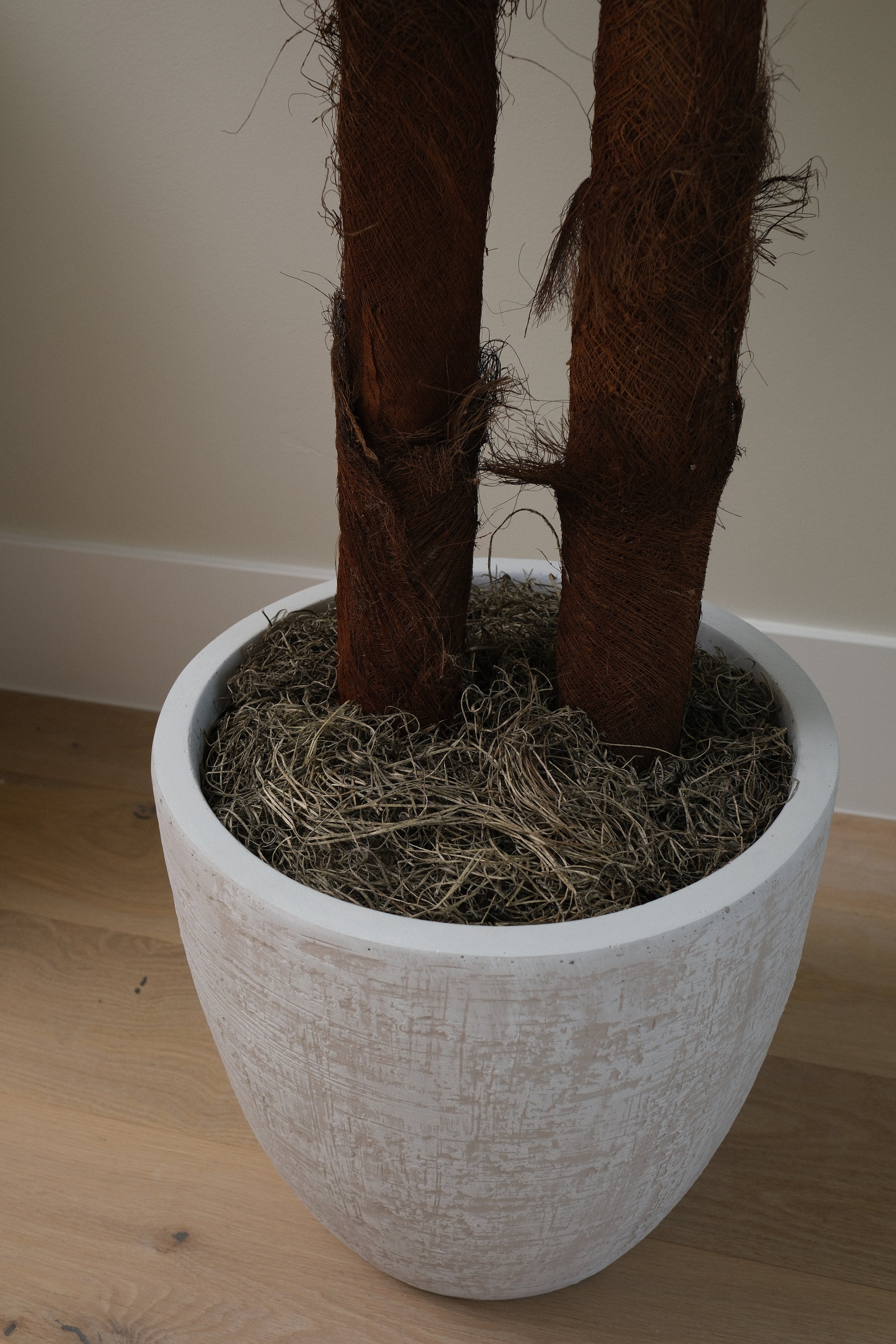 8FT ARECA PALM TREE IN WHITE PLANTER