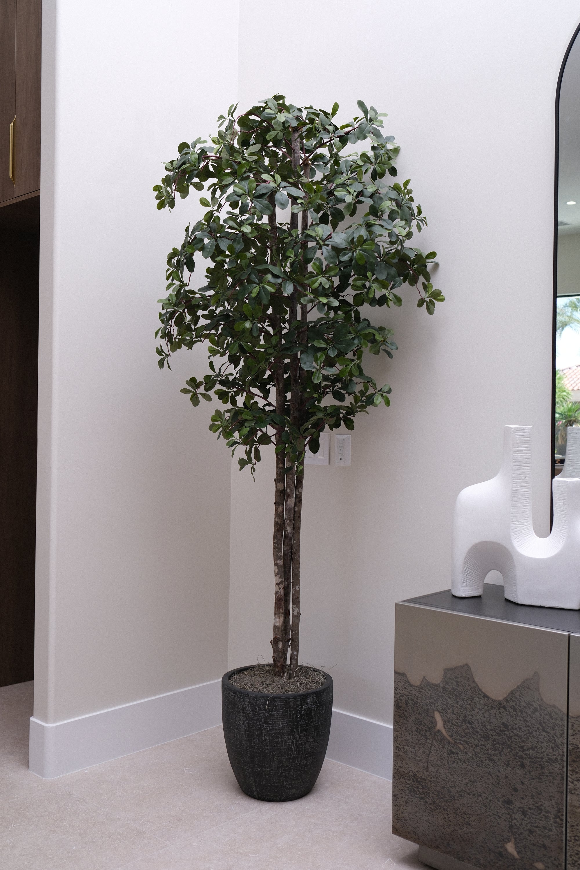 8FT OLIVE TREE IN BLACK PLANTER