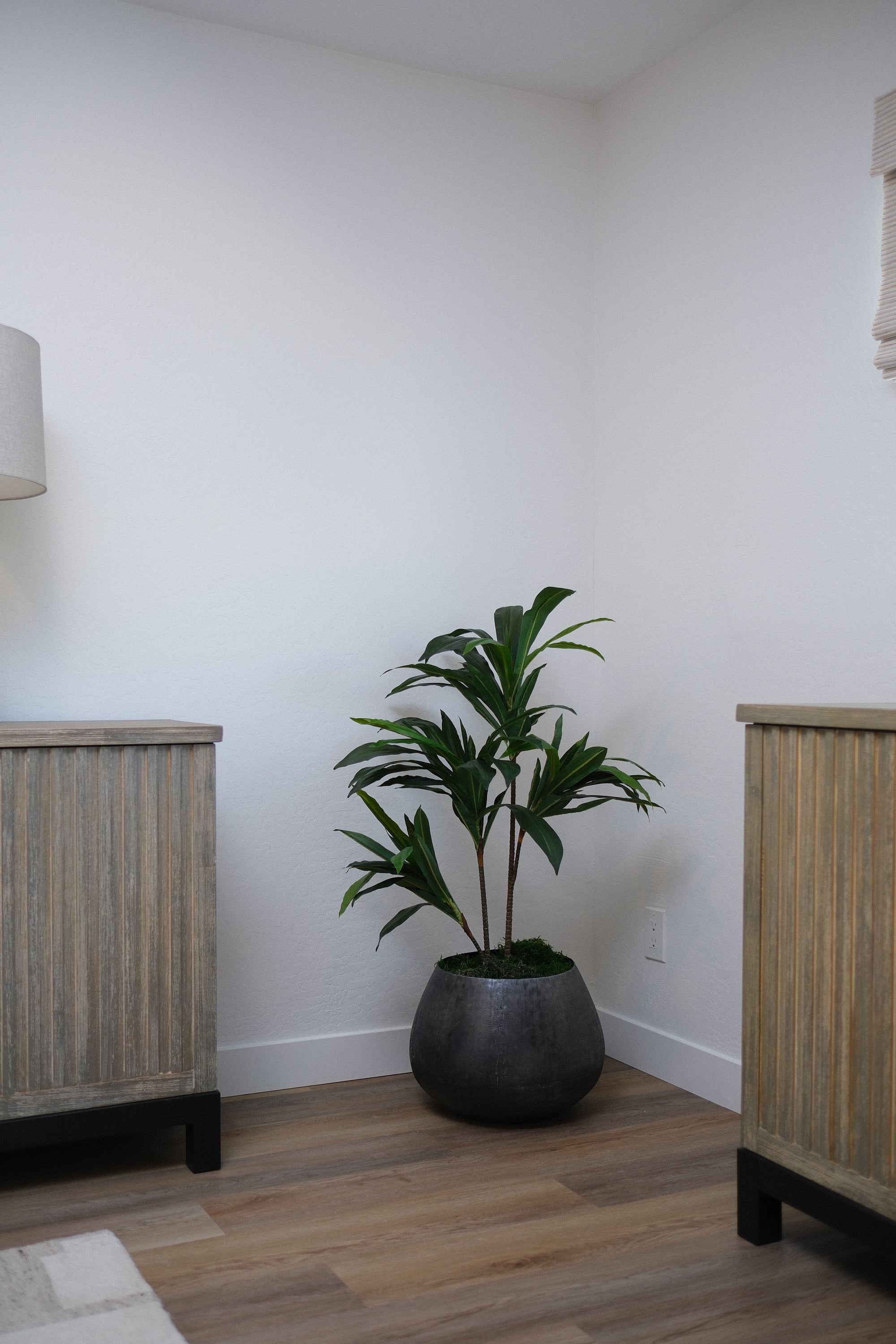 39" DRACAENA TREE IN BLACK PLANTER
