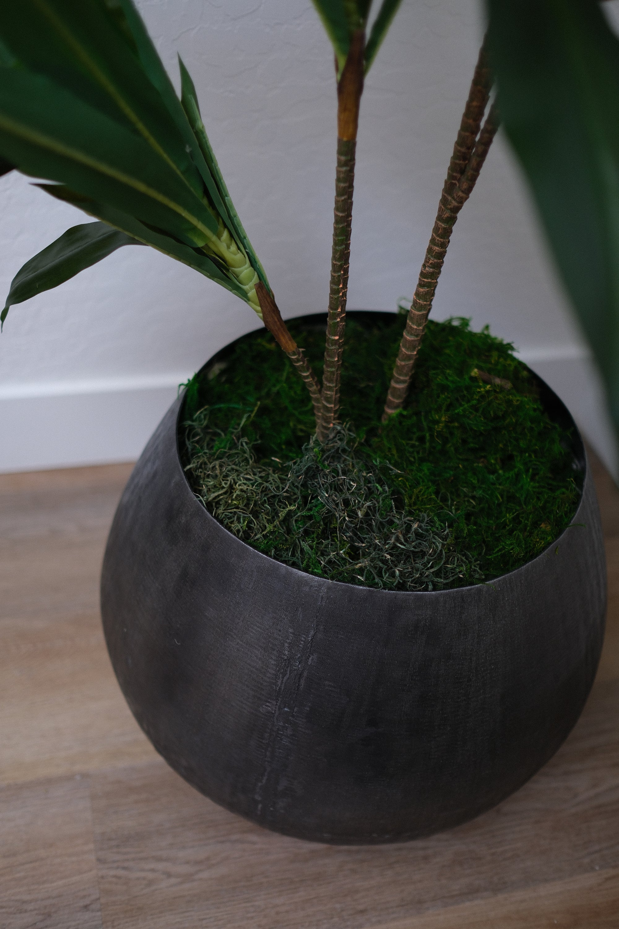 39" DRACAENA TREE IN BLACK PLANTER