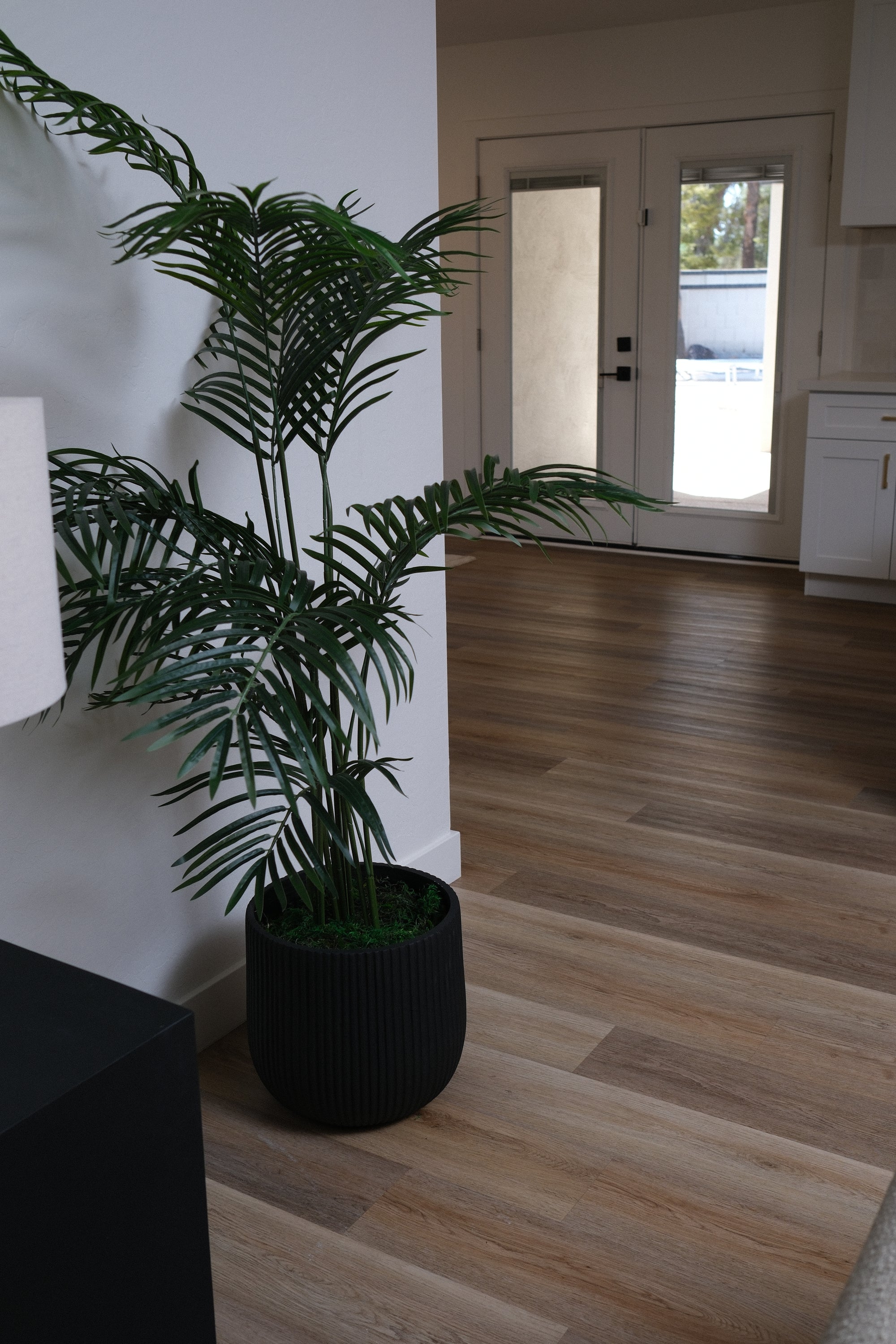 5.5FT ARECA PALM TREE