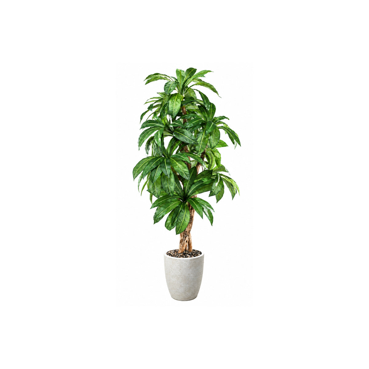 8FT TREE IN WHITE PLANTER
