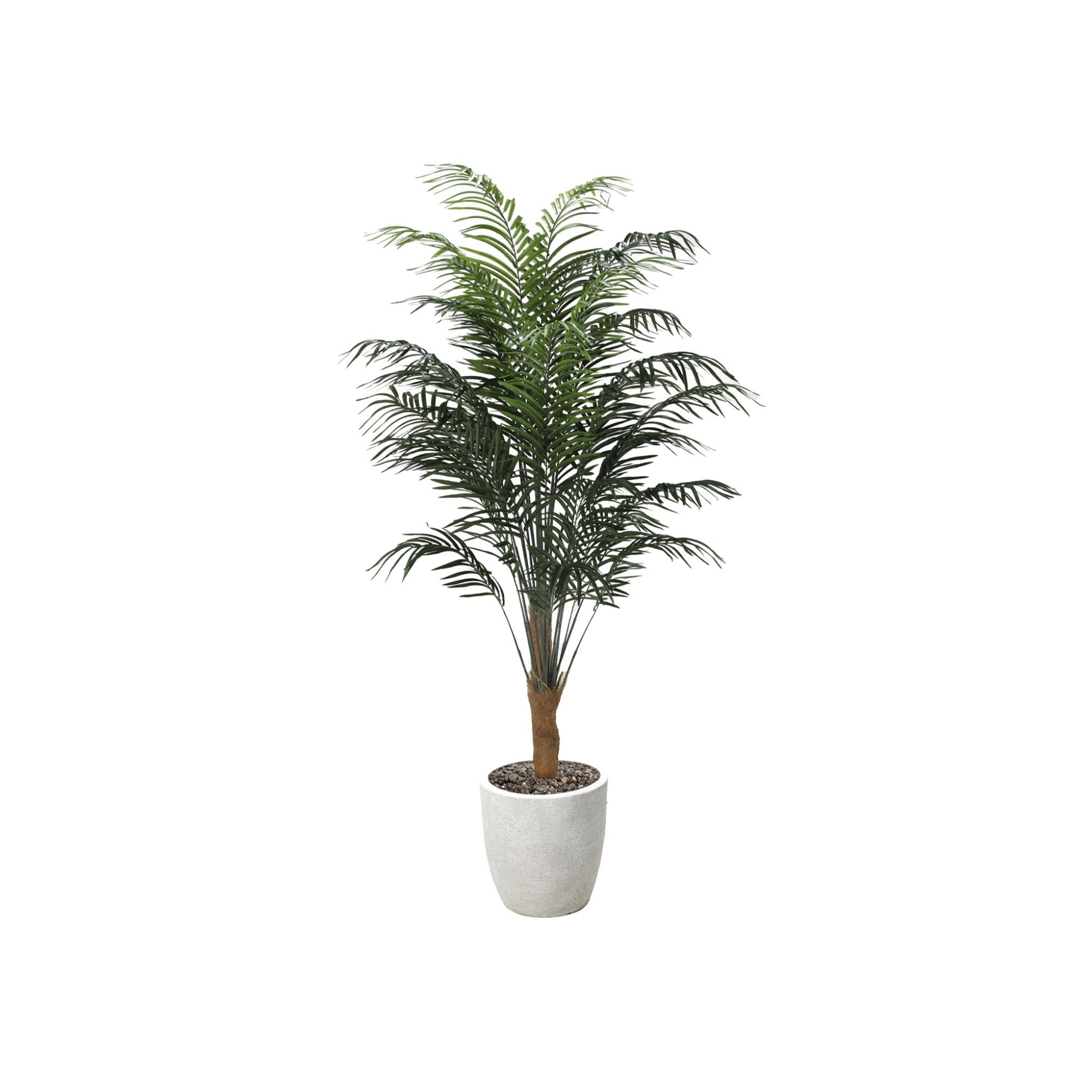 8FT ARECA PALM TREE IN WHITE PLANTER