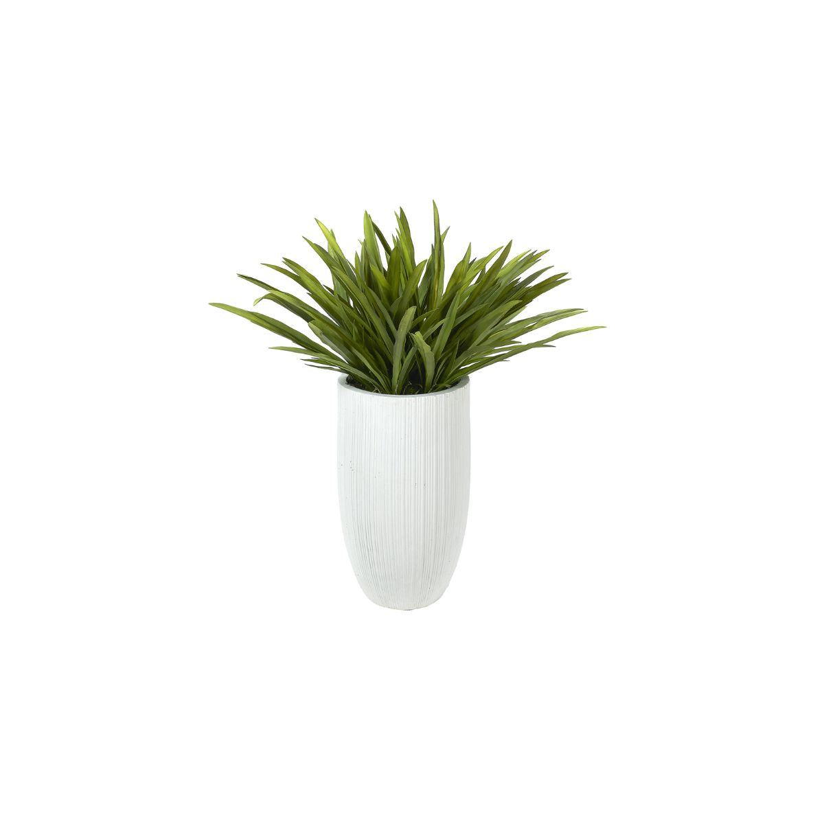 ORCHID LEAVES IN TALL PLANTER