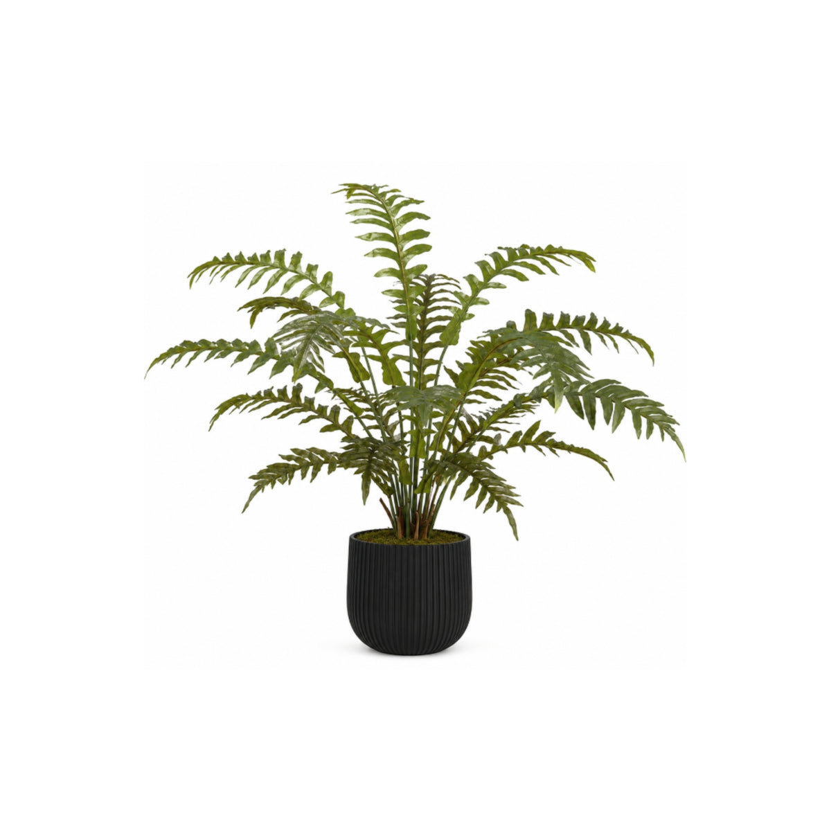 36IN FERN IN RIBBED RESIN PLANTER