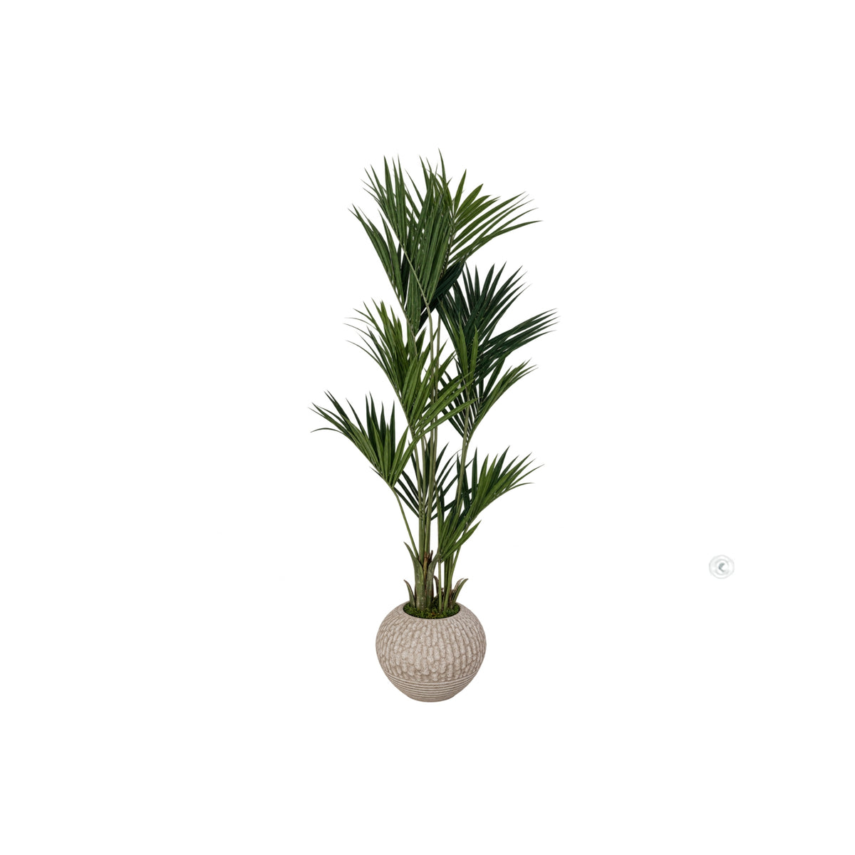 8FT PALM TREE IN GEO DESIGN POT