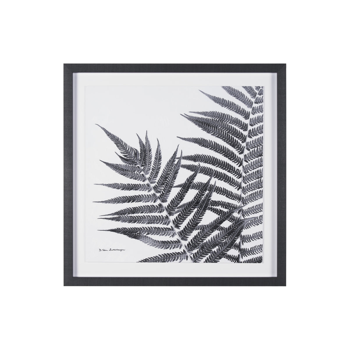 FRAMED FERN WALL ART